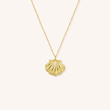 Golden Seashell Necklace