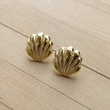 Scallop Shell Stud Earrings