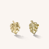 Palm Studs